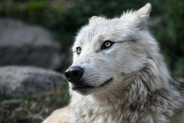 Jak minimalizovat projevy lupusu na kůži pomocí denních opatření