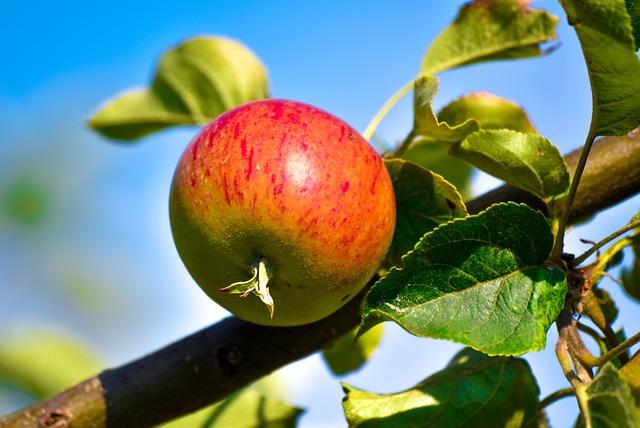 5 tipů pro detoxikaci a podporu jater