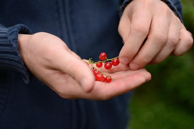 Důležité minerály a vitamíny pro zdravou děložní sliznici