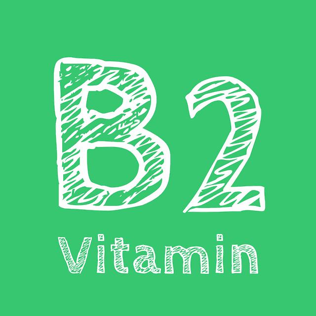 Co je Vitamin B2 a jak je důležitý pro náš organismus?