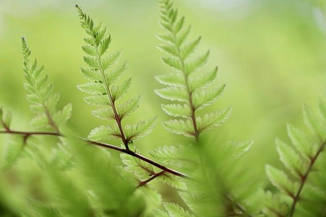 8 tipů, jak minimalizovat příjem pesticidů a ochránit své zdraví