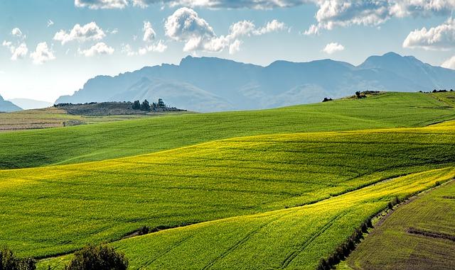 Role minerálů a vitamínů ve stravě pro zdravé zuby